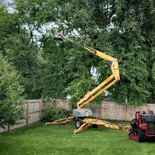 Best Tree Risk Assessment  in Bolivar Peninsula, TX